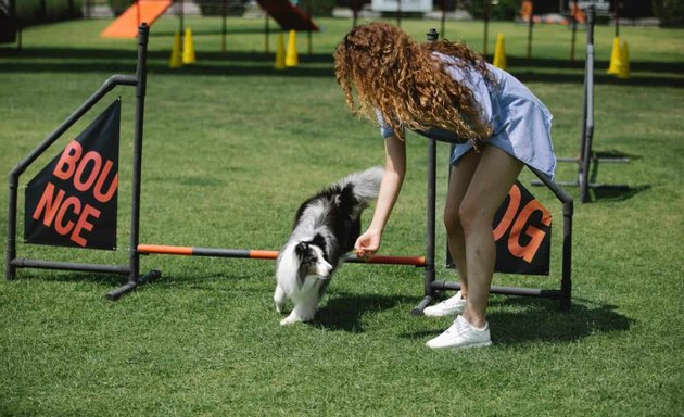 Photo of Mariah Hinds Dog Training