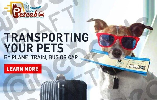Photo of Globalpetcab - International & Domestic Pet Relocation Services