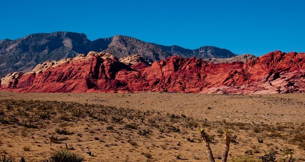 Photo of Nevada Transportation Authority