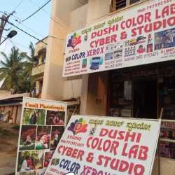 Photo of Dushi Studio