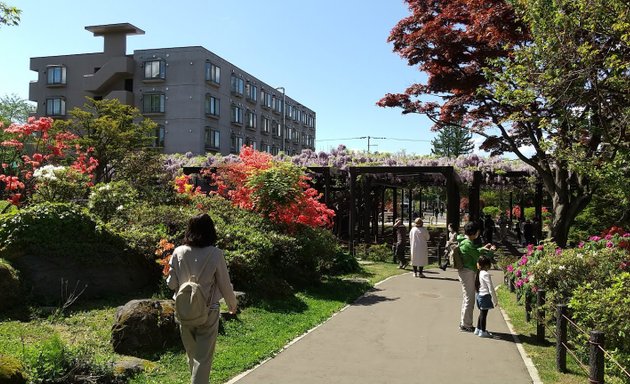 写真 天神山公園