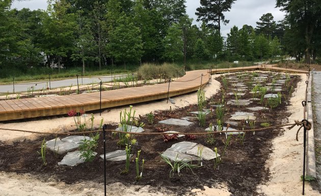 Photo of Longleaf Pine Garden