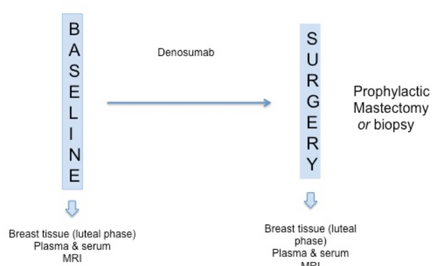 Photo of TransBCR