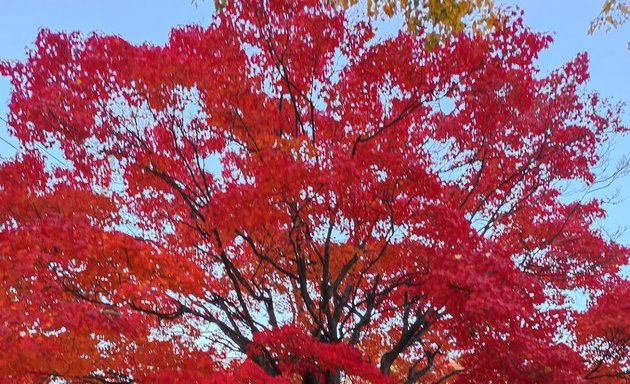 写真 いこい公園