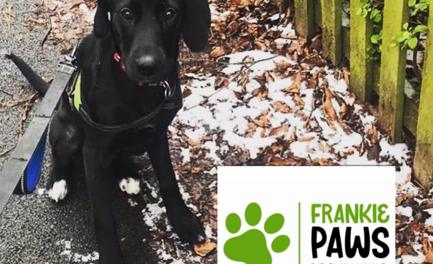 Photo of Frankie Paws Dog Walking