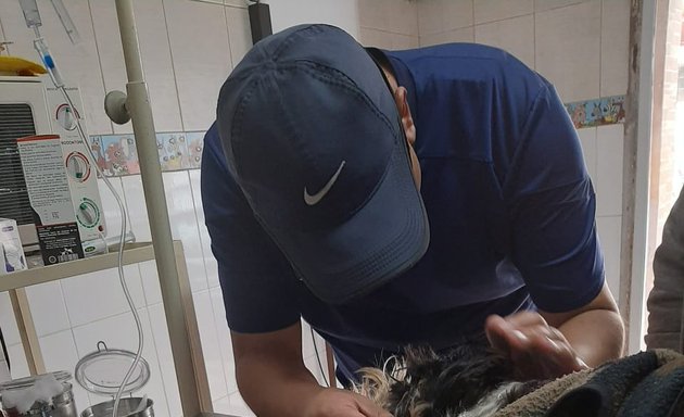 Foto de Clínica Veterinaria Dino Sur