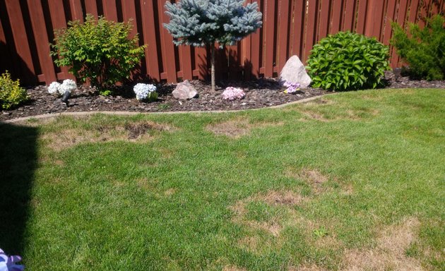 Photo of TruGreen Lawn Care