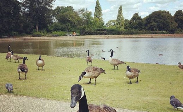 Photo of Forty Hall Estate