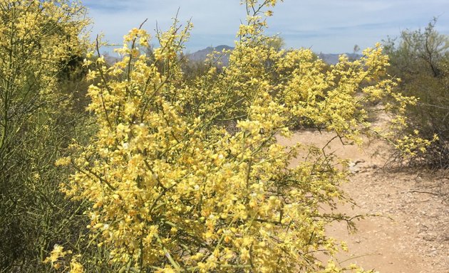 Photo of Greasewood Park