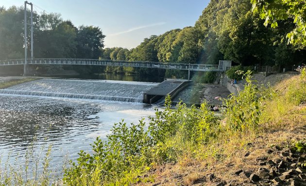 Photo of Blackweir Arboretum