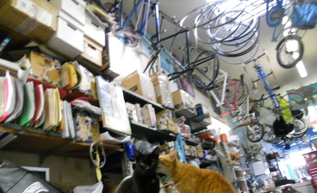 Photo of Sound Source Bike Shop