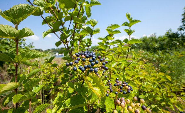 Photo of Ecology Park