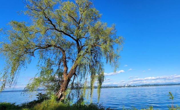 Photo of Madrona Ravine