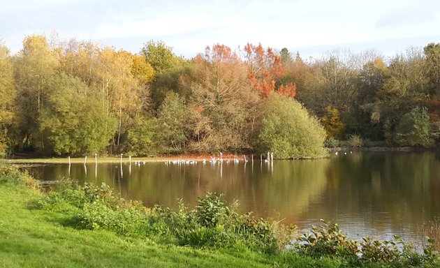 Photo de Parc des Gayeulles