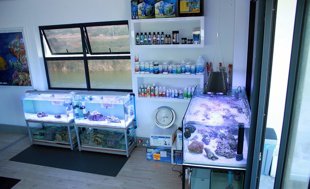 Photo of Reef Aquatics [No Shop, Webstore and Online Only]