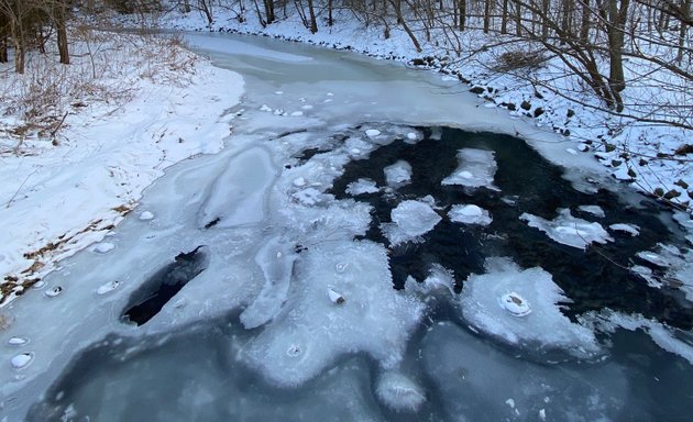 Photo of Cedar Brook Park