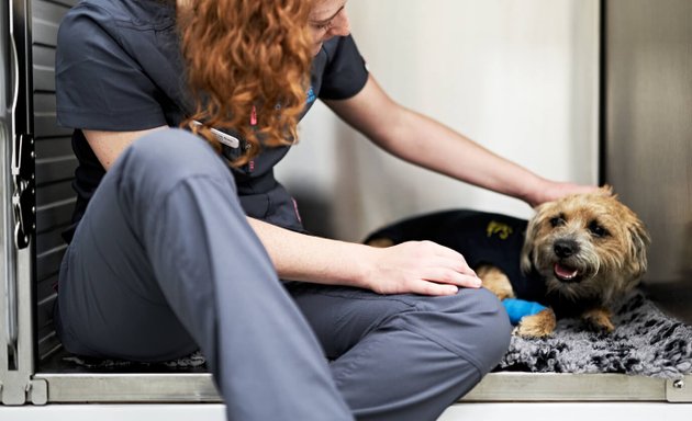 Photo of Pet Practice Veterinary Surgery
