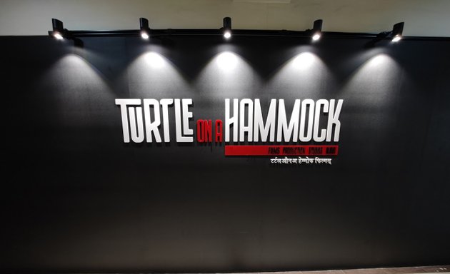 Photo of Turtle on a Hammock Films