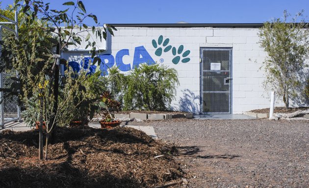 Photo of RSPCA South Australia- Lonsdale Shelter