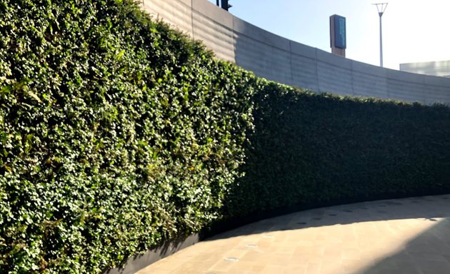 Photo of Living Wall