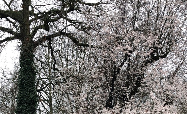 Photo of Upper Norwood Recreation Ground