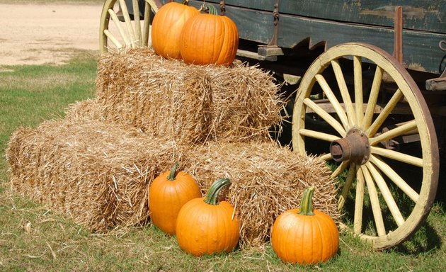 Photo of Robintide Farms