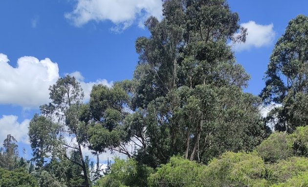 Foto de Parque Tarqui Guzho