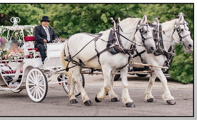 Photo of Central Park Horse And Carriage Tours
