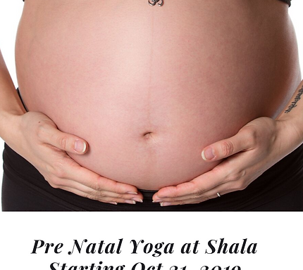 Photo of Shala Ashtanga Yoga Centre