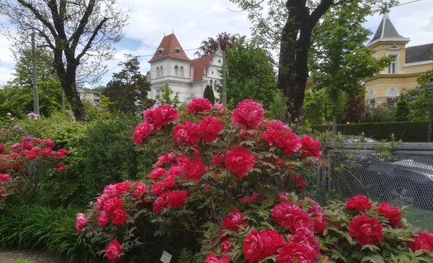 Foto von Botanischer Garten der Universität Graz