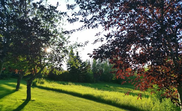 Photo of West Confederation Park