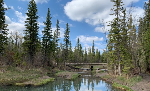 Photo of Griffith Woods Park