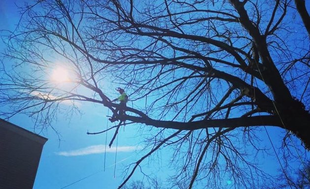 Photo of Philly Tree Cutters