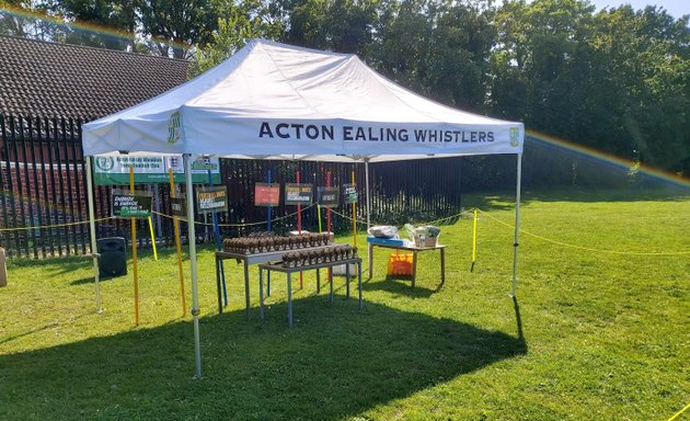 Photo of Acton Ealing Whistlers Football Club