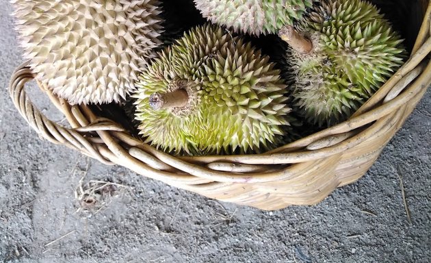 Photo of Durian Hooi 38吉祥