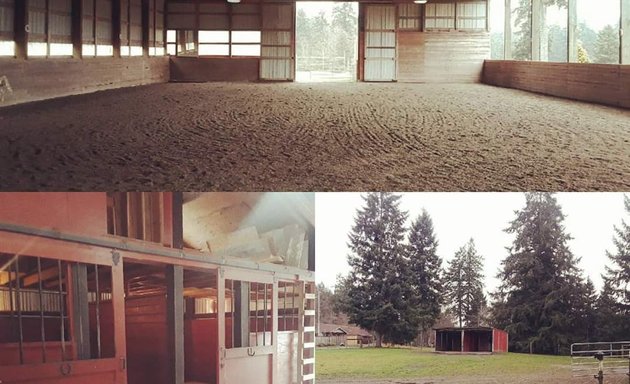 Photo of Front and Center Horse Riding Academy