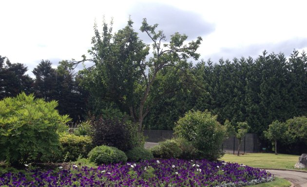 Photo of Rumney Hill Gardens