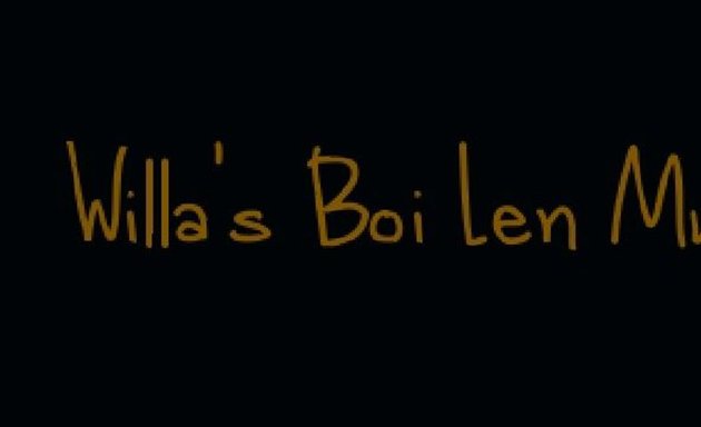 Photo of Willa's Boi Len Music Label