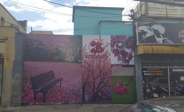 Foto de Jardín Flor de Cerezo