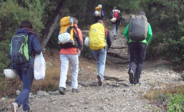 Photo de Comité Régional Caf Occitanie