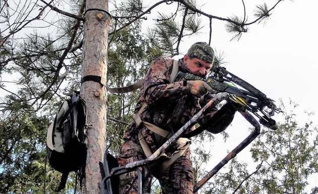 Photo of True North Treestands