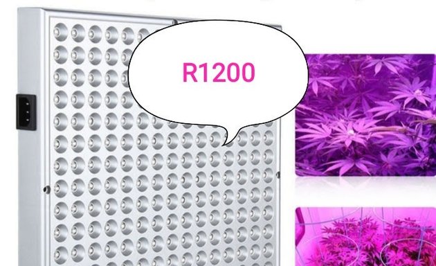 Photo of Grow lights Capetown