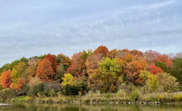 Photo of West Humber Trail / Esther Lorrie Park