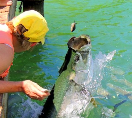 Foto von The Florida Keys & Key West