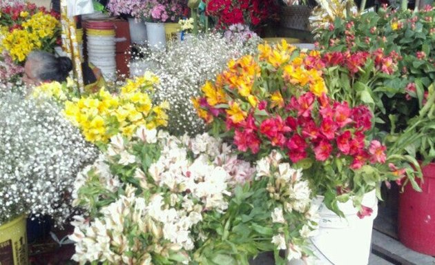 Foto de Mercado de flores y plantas