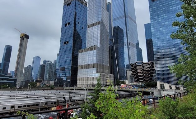 Photo of West Side Yard