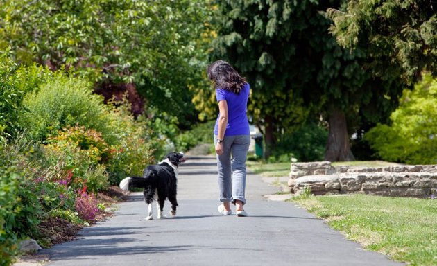 Photo of All4Paws - Dog-walking and pet care in Bristol