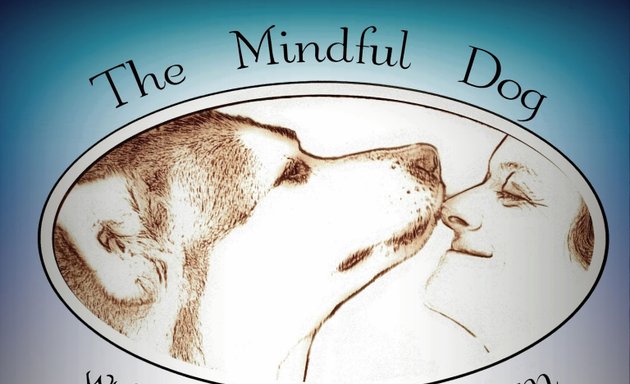 Photo of The Mindful Dog