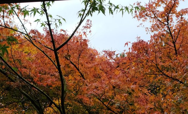 Photo of Cecelia Ravine Park