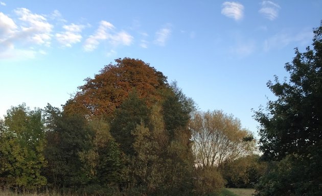 Photo of Spud Wood Car Park